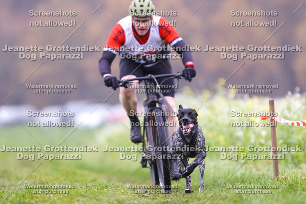 Dog Paparazzi - Visbeck 25 -135 | Dog Paparazzi Jeanette Grottendiek Fotografie & Videografie - Realisiert mit Pictrs.com