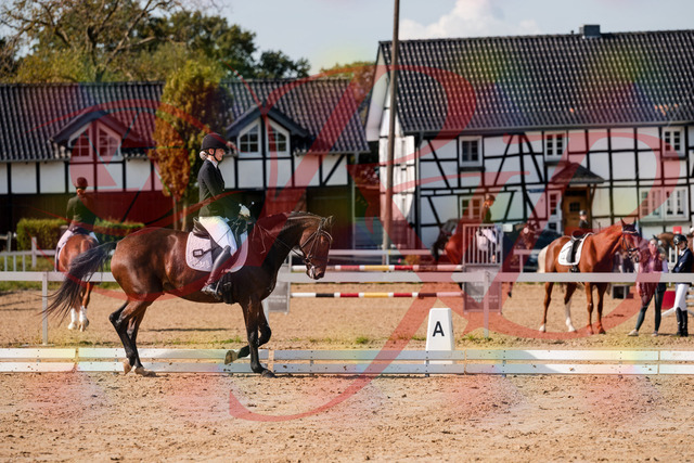 2026_10_03_Siefer-Hof_125533_Z63_61998399 | Professionelle Reitsport-, Turnier- und Eventfotografie von Robert Broda. Galerien mit ausgewählten und bearbeiteten Bildern direkt online ansehen und bestellen.