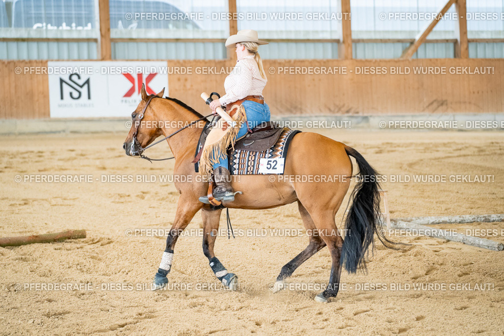 DSC07300 | Pferdegrafie