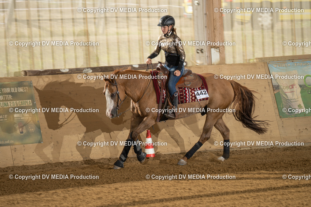 LAU01907 | dv-media-shop - Realisiert mit Pictrs.com