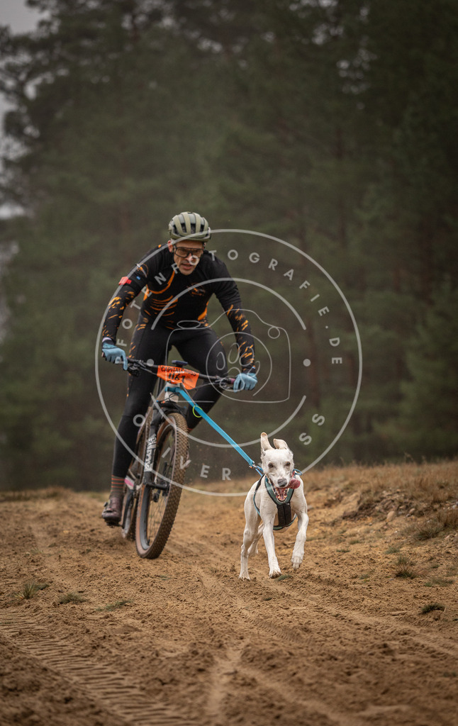 Pfotenfotografie_DV3A2458 | Hundefotografie, Tierfotograf, Pfotenfotografie, Fotoshooting Hund, Hunde Portrait, Hundesport, Hundeportraits, Heideshooting, Hunde, Sportfotograf, Hundefotograf, Turnierhundsport, THS,  - Realisiert mit Pictrs.com