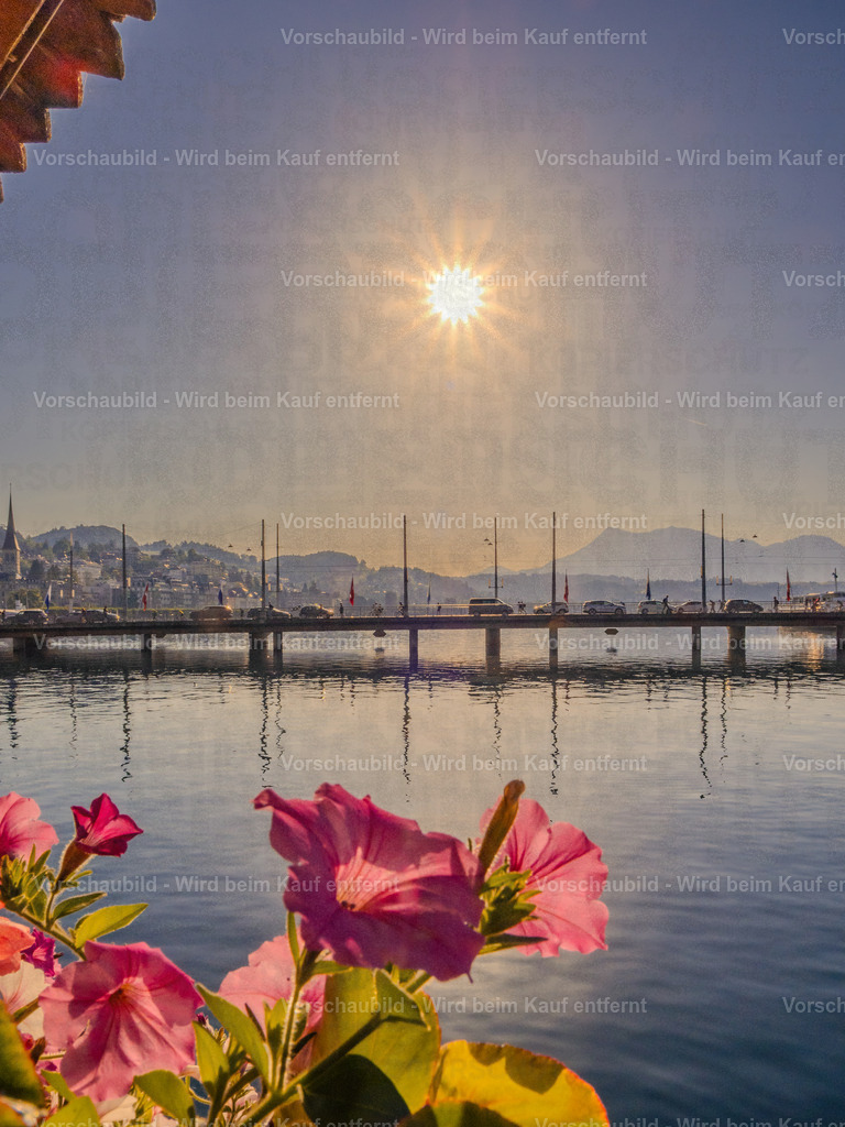 Kapellbrücke Luzern im Sommerlicht | Sommerliche Ansicht der Kapellbrücke in Luzern mit blühenden Blumen - Realisiert mit Pictrs.com