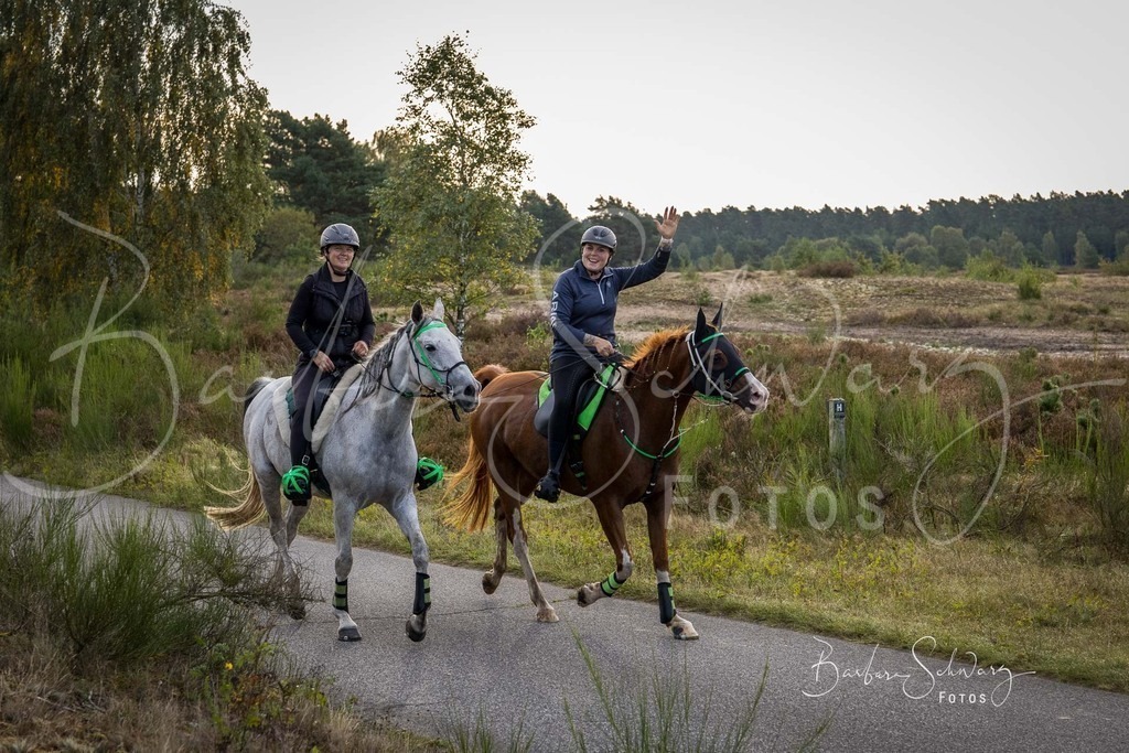 DdLH-TrotBy_2025-09-20_30 | Fotografie, Veranstaltungs-Fotografie, Pferde-Fotografie, Landschafts-Fotografie, Reise-Fotografie - Realisiert mit Pictrs.com