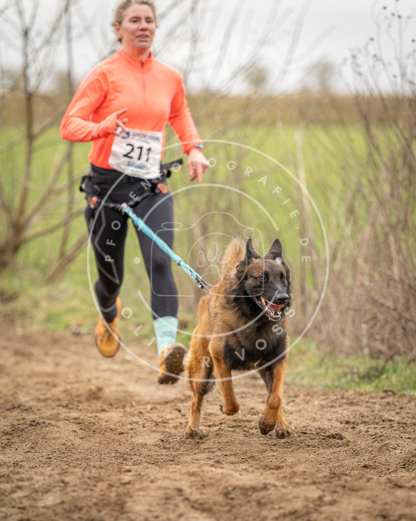 DV3A2659 | Hundefotografie, Tierfotograf, Pfotenfotografie, Fotoshooting Hund, Hunde Portrait, Hundesport, Hundeportraits, Heideshooting, Hunde, Sportfotograf, Hundefotograf, Turnierhundsport, THS,  - Realisiert mit Pictrs.com