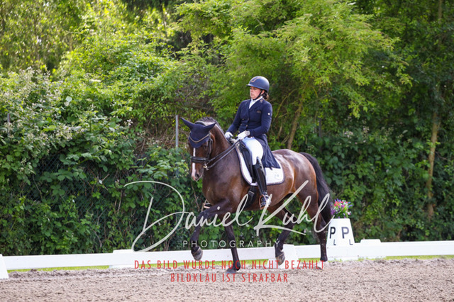 DKP41357 | Deine Turnierfotos vom Reitturnier online kaufen: Dressur, Springen & Siegerehrung. Professionelle Pferdefotografie aus dem Rheinland – als Download & Print.Alternative: Turnierfotograf für den Pferdesport: Finde deine Fotos von Dressur- und Springturnier