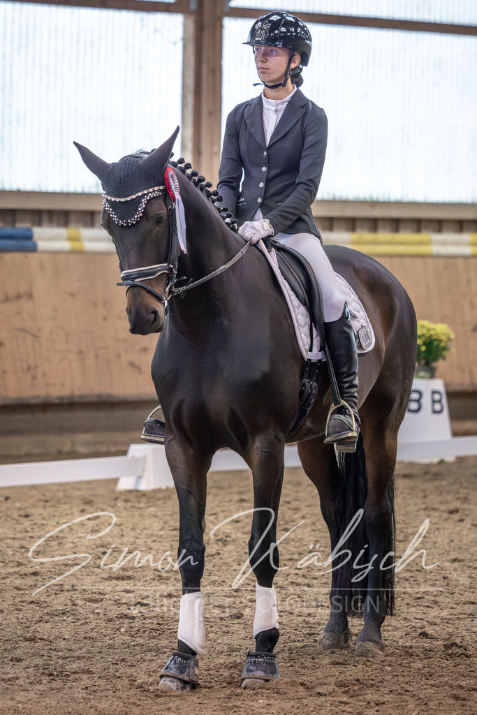 20251011-_3LI2313 | Tierfotografie Pferde, Hunde, Katzen, Haustiere.
Turnierfotografie Reitturniere, Reiten, Springreiten, Dressur in Hanau, dem Main-Kinzig-Kreis und dem Rhein-Main- Gebiet um Frankfurt