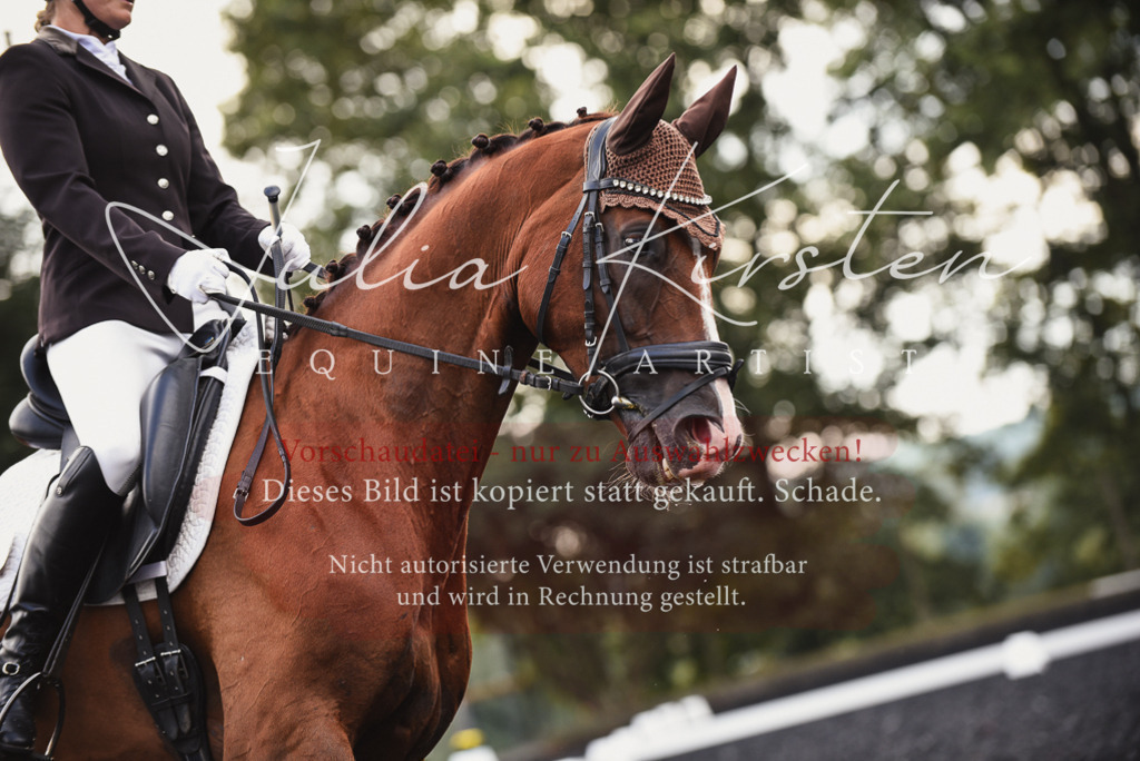 DSC_4009 | Pferde- und Turnierfotografie in Westsachsen. Pferdeportraits, Auftragszeichnungen und intuitive Kunst.