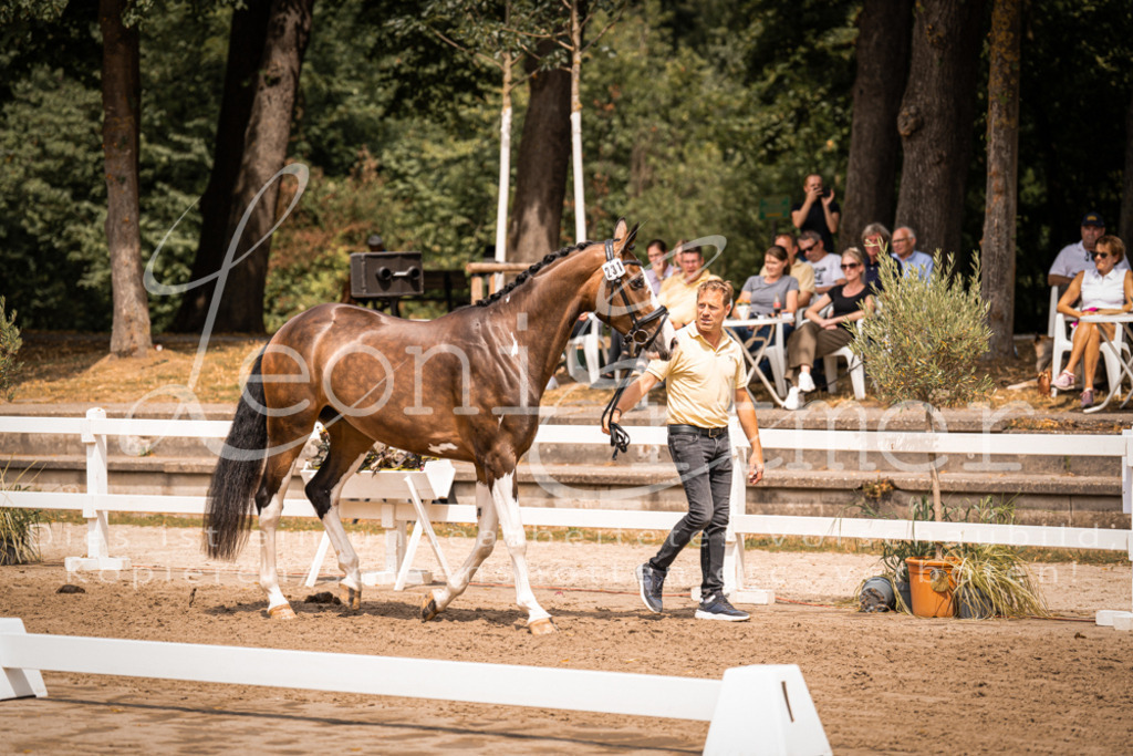 2. Fr00184 | Leoni Ertmer Photography - Realisiert mit Pictrs.com