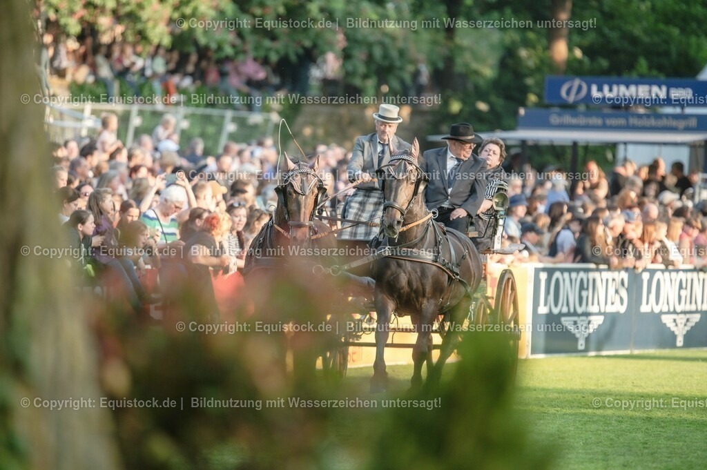 20230526_Pferdenacht_0149 | equistock