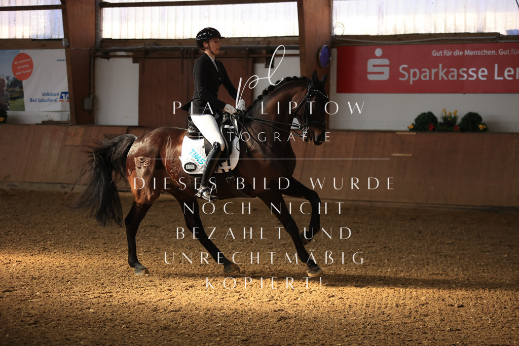 IMGT2460 | pl-fotografie