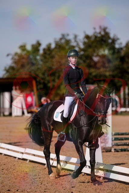 2026_10_03_Siefer-Hof_115507_Z81_95391681 | Professionelle Reitsport-, Turnier- und Eventfotografie von Robert Broda. Galerien mit ausgewählten und bearbeiteten Bildern direkt online ansehen und bestellen.