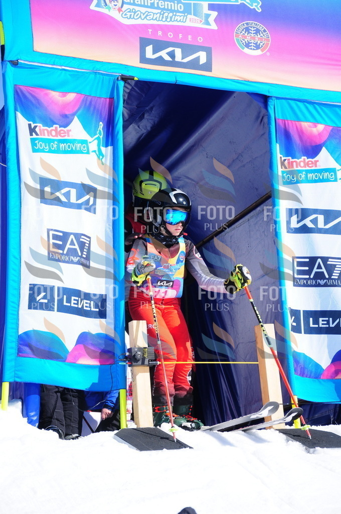 DSC_3705 | holidayphoto