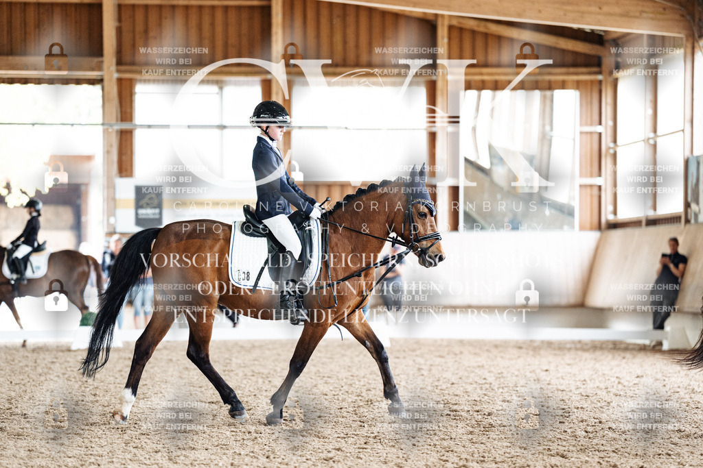 CK901564 | Turnierfotografie Pferdefotografie Trier Rheinland-Pfalz Pferdesport Reitsport Tierfotografie Sportfotografie Pferdevideo Pferdevideografie Equestrianvideography equestrianphotography  - Realisiert mit Pictrs.com