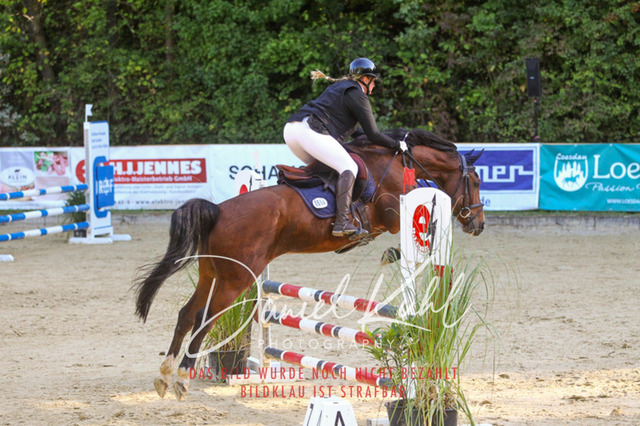 DKP42786 | Turniersportfotografie; Pferdefotografie; Dressurfotografie