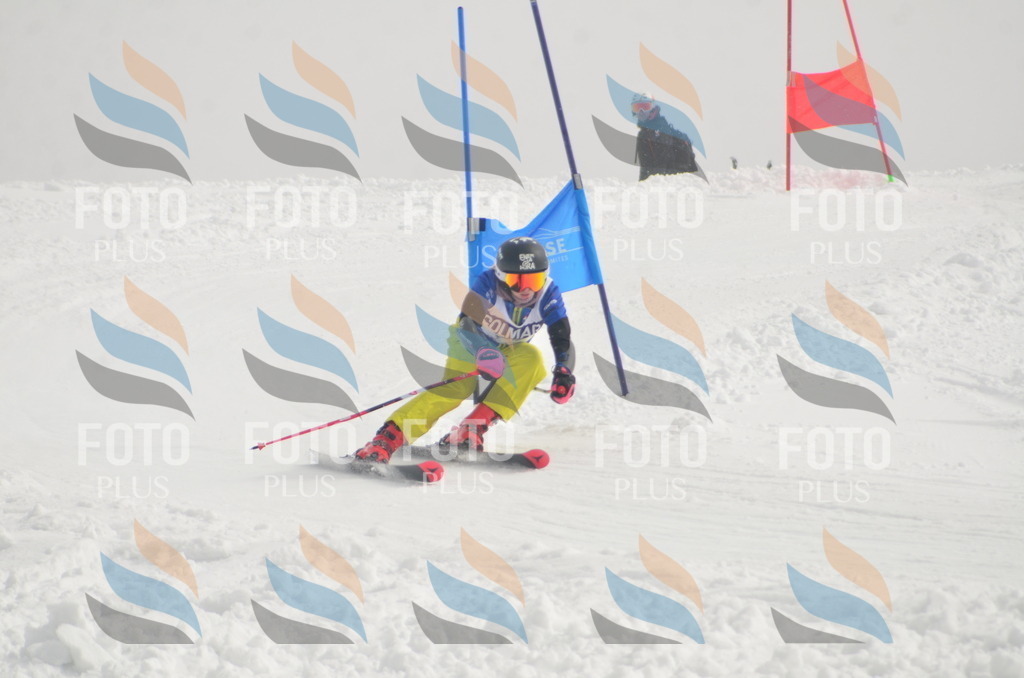 A5582 | holidayphoto