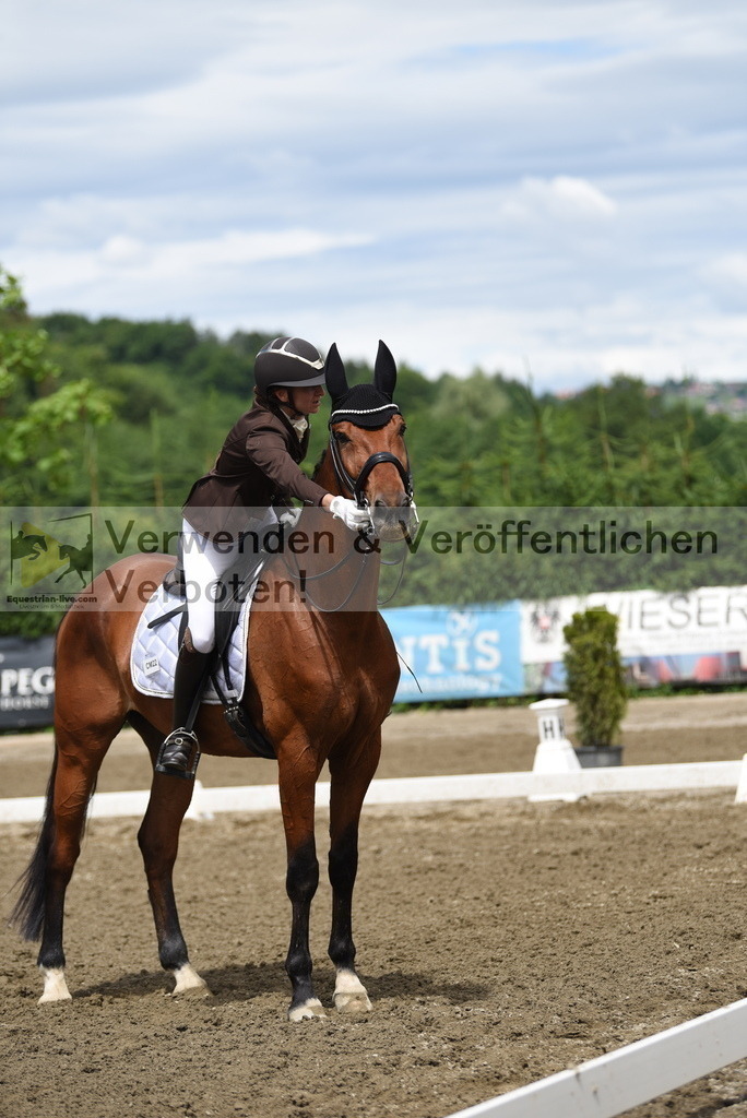 DSC_0929 | equestrian-live-com