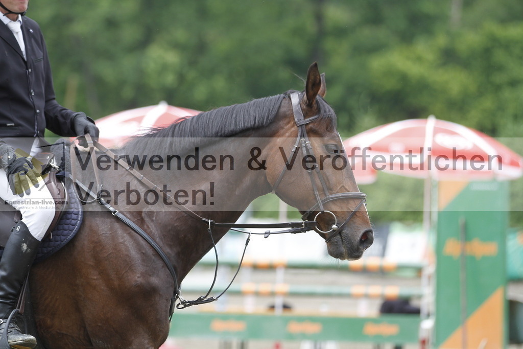 _MG_8985 | equestrian-live-com