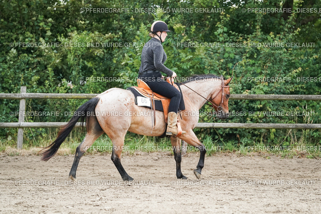 DSC04497 | Pferdegrafie