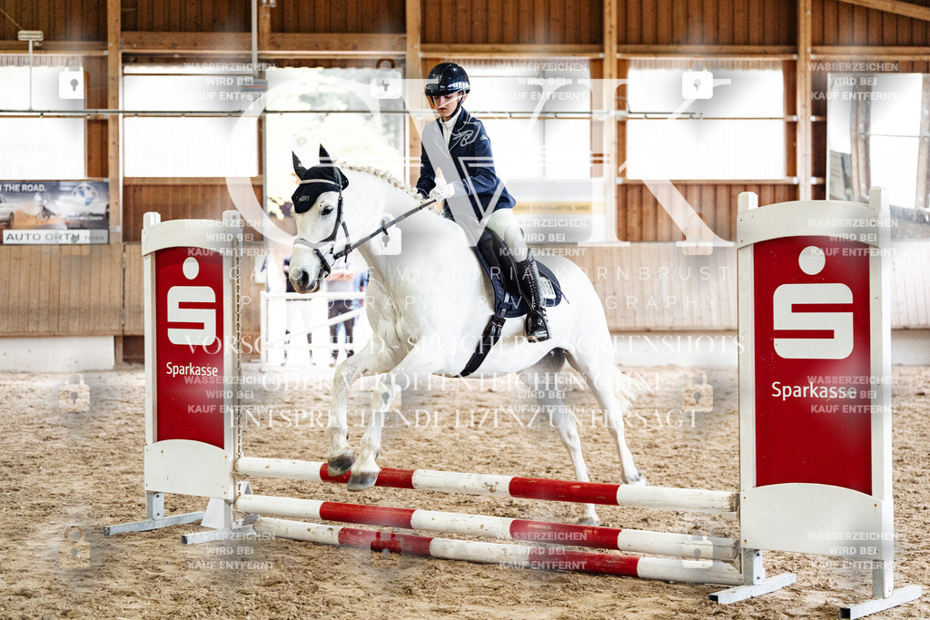 CK902915 | Turnierfotografie Pferdefotografie Trier Rheinland-Pfalz Pferdesport Reitsport Tierfotografie Sportfotografie Pferdevideo Pferdevideografie Equestrianvideography equestrianphotography  - Realized with Pictrs.com