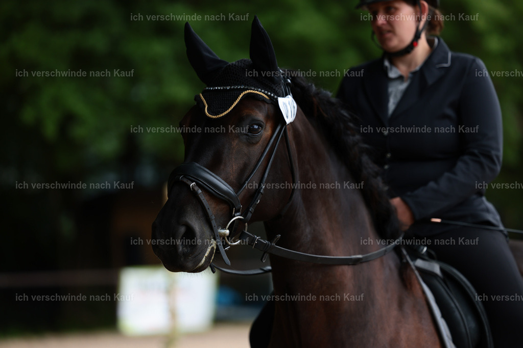 KlasseE_Stoibphotography_CAM22013.JPG | working equitationturnier fotograf videograf stoibphotography marixx film working equitation deutschland reitsport turnierfotografie eventfotografie equestrian events