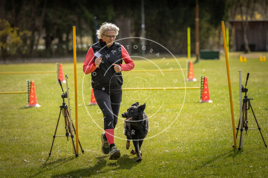 Pfotenfotografie_DV3A9166 | Hundefotografie, Tierfotograf, Pfotenfotografie, Fotoshooting Hund, Hunde Portrait, Hundesport, Hundeportraits, Heideshooting, Hunde, Sportfotograf, Hundefotograf, Turnierhundsport, THS,  - Realisiert mit Pictrs.com