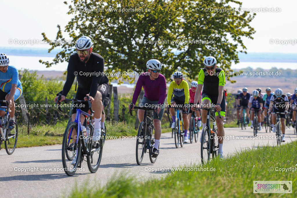 IMG_1954 | @sportshot_your_pictrs #yourpictures#roadtowm2029 #nrm #neusiedlerseeradmarathon #neusiedlersee #neusiedlerseetourismus #burgenland #mörbisch #nrm26 #burgenlandtourismus #voglundco #poweredbyburgenlandtourismus #radsport #rad #marathon #ucigranfondo #visitburgenland #ucigranfondoworldseries