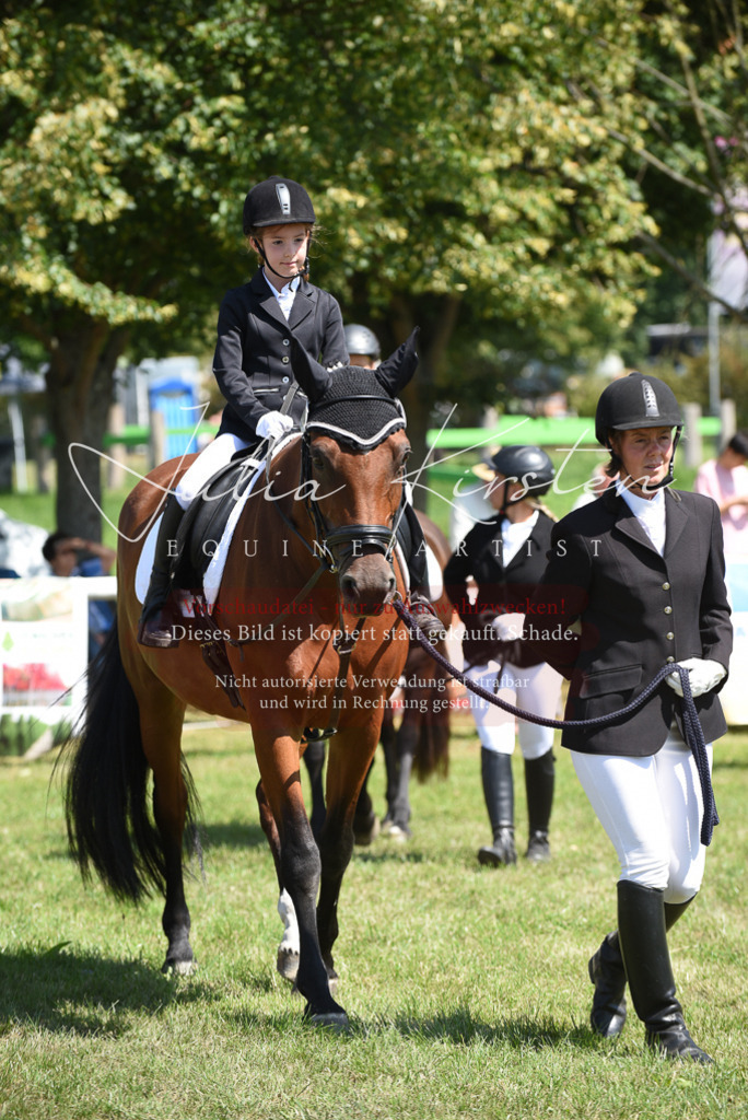 DSC_9748 | Pferde- und Turnierfotografie in Westsachsen. Pferdeportraits, Auftragszeichnungen und intuitive Kunst.