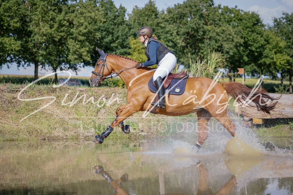 20250905-_3LI1204 | Tierfotografie Pferde, Hunde, Katzen, Haustiere.
Turnierfotografie Reitturniere, Reiten, Springreiten, Dressur in Hanau, dem Main-Kinzig-Kreis und dem Rhein-Main- Gebiet um Frankfurt