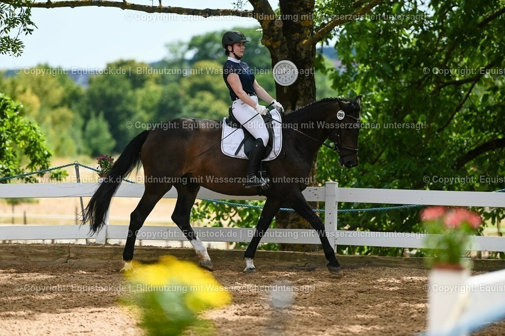 20230715_05_Dressurprüfung Kl.A++_0368 | equistock