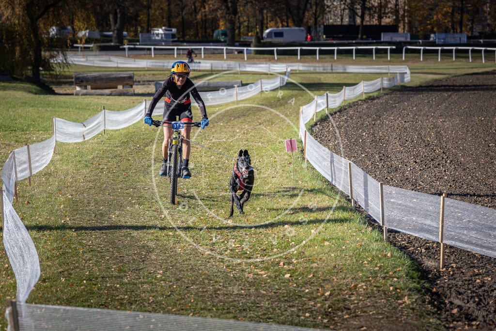 CaniXpix_DV3A6363 | Hundefotografie, Tierfotograf, Pfotenfotografie, Fotoshooting Hund, Hunde Portrait, Hundesport, Hundeportraits, Heideshooting, Hunde, Sportfotograf, Hundefotograf, Turnierhundsport, THS,  - Realisiert mit Pictrs.com