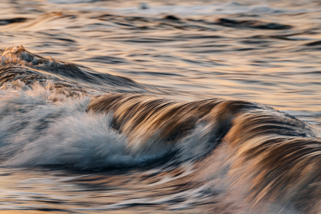 LDF_5834 | Du suchst natürliche und atmosphärische Prints oder Leinwanddrucke? In diesem Shop gibt es alles, nur kein Mainstream. - Realisiert mit Pictrs.com