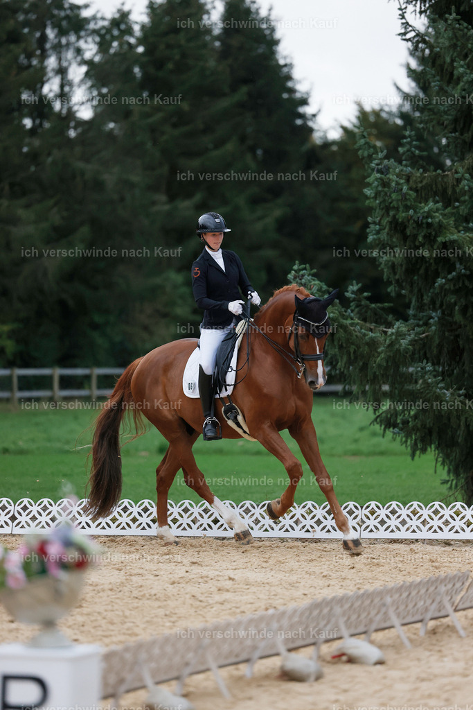 04_2-064-Dressur M__ -StoibPH-2991 | working equitationturnier fotograf videograf stoibphotography marixx film working equitation deutschland reitsport turnierfotografie eventfotografie equestrian events