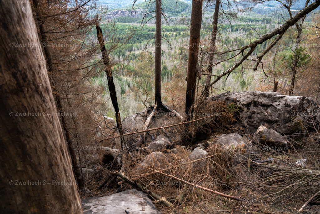 Obere_Affensteinpromenade_Nahe_Rollenturm_Baumstamm_Waldbrand | 2022-09-02_Waldbrandgebiete_2 - Realisiert mit Pictrs.com
