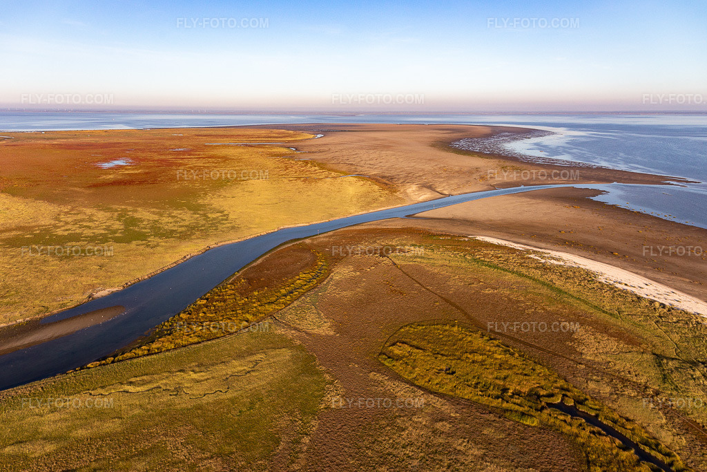 Aerial view: View of the town in Fanø in the state South Denmark, Denmark.Photo: IMG_118899.jpg taken on 09/21/2019 by Werner Riehm/FLY-FOTO.comResolution of the original: 5366 x 3577 px