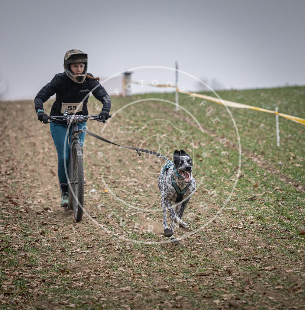 Pfotenfotografie_DV3A1184 | Hundefotografie, Tierfotograf, Pfotenfotografie, Fotoshooting Hund, Hunde Portrait, Hundesport, Hundeportraits, Heideshooting, Hunde, Sportfotograf, Hundefotograf, Turnierhundsport, THS,  - Realisiert mit Pictrs.com
