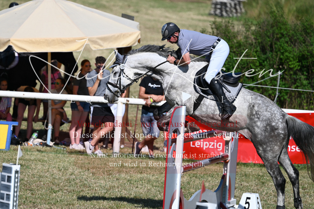 DSC_1970 | Pferde- und Turnierfotografie in Westsachsen. Pferdeportraits, Auftragszeichnungen und intuitive Kunst.