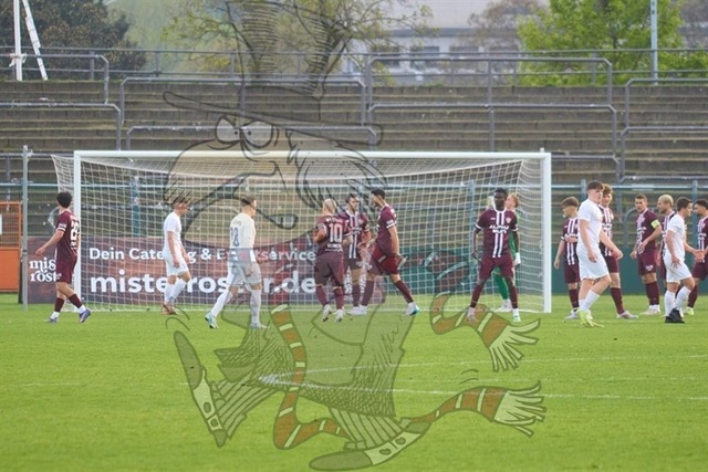 BFC Dynamo vs. FC Eilenburg  023 | mythos-online-redaktion