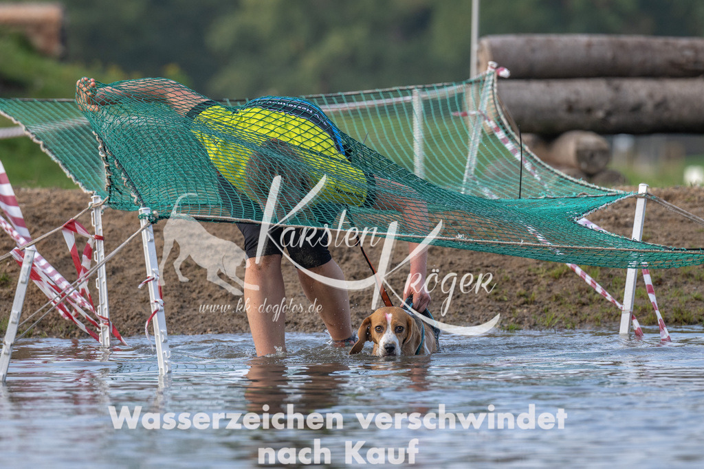 0955_ZZ91375 | kk-dogfotos