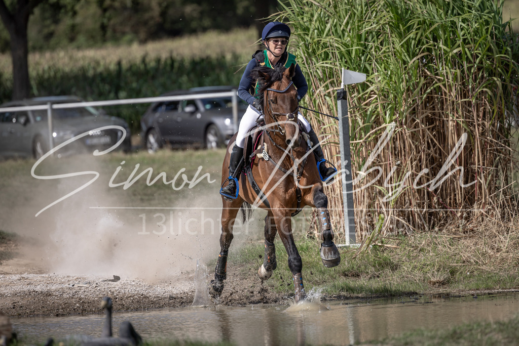20250907-_3LI1430 | Tierfotografie Pferde, Hunde, Katzen, Haustiere.
Turnierfotografie Reitturniere, Reiten, Springreiten, Dressur in Hanau, dem Main-Kinzig-Kreis und dem Rhein-Main- Gebiet um Frankfurt