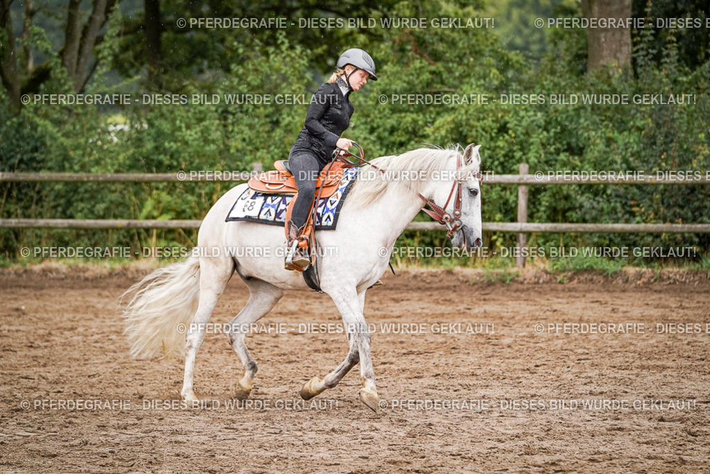 DSC05080 | Pferdegrafie