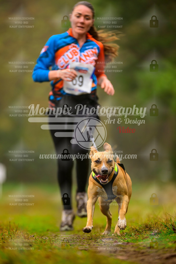 MompixPhotography_Bischwiller2025_Canicross-166 | mompixphotography