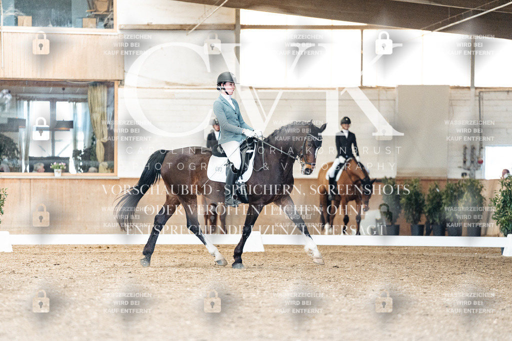 CK900992 | Turnierfotografie Pferdefotografie Trier Rheinland-Pfalz Pferdesport Reitsport Tierfotografie Sportfotografie Pferdevideo Pferdevideografie Equestrianvideography equestrianphotography  - Realisiert mit Pictrs.com