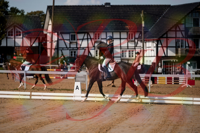 2026_10_03_Siefer-Hof_113326_Z63_19734229 | Professionelle Reitsport-, Turnier- und Eventfotografie von Robert Broda. Galerien mit ausgewählten und bearbeiteten Bildern direkt online ansehen und bestellen.