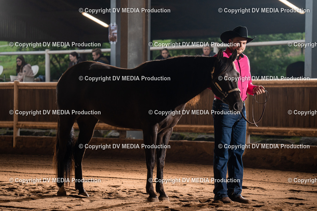 Erbach Tag 2-105 | dv-media-shop - Realisiert mit Pictrs.com