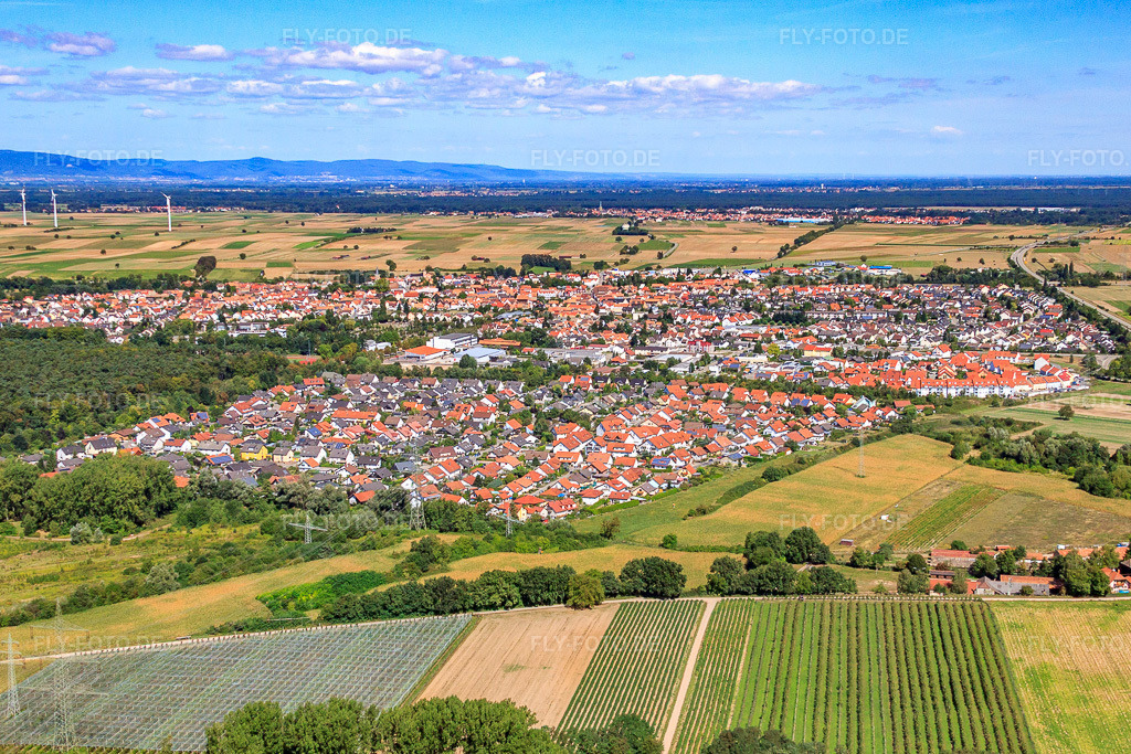 Luftbild: Stadtansicht von Süden in Rülzheim im Bundesland Rheinland-Pfalz in Deutschland. Foto: IMG_20578.jpg vom 30.08.2009 durch Werner Riehm/FLY-FOTO.de