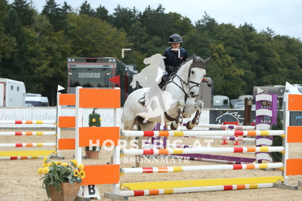 DL2Q7733 | Willkommen bei Brunnmayr - Design & Fotografie – Ihrem Spezialisten für Reitturniere und Pferdeveranstaltungen in Oberösterreich, Salzburg und Bayern! Seit über 17 Jahren sind wir leidenschaftlich dabei.