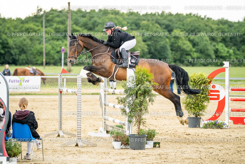 DSC07006 | Pferdegrafie