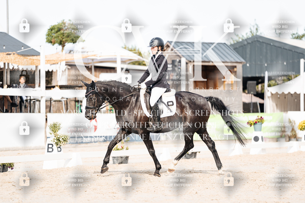 CK905082 | Turnierfotografie Pferdefotografie Trier Rheinland-Pfalz Pferdesport Reitsport Tierfotografie Sportfotografie Pferdevideo Pferdevideografie Equestrianvideography equestrianphotography  - Realisiert mit Pictrs.com