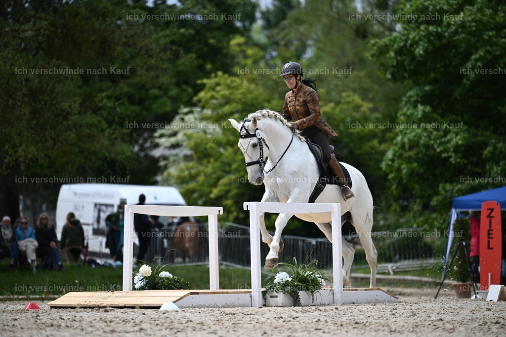 PI26_SP_Sara_Landvogt_226_5124.JPG | working equitationturnier fotograf videograf stoibphotography marixx film working equitation deutschland reitsport turnierfotografie eventfotografie equestrian events
