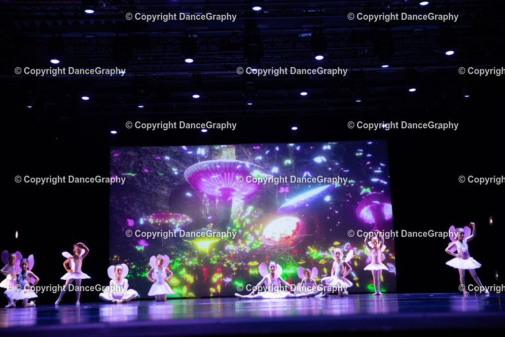 GPHY4743 | DanceGraphy - Realisiert mit Pictrs.com